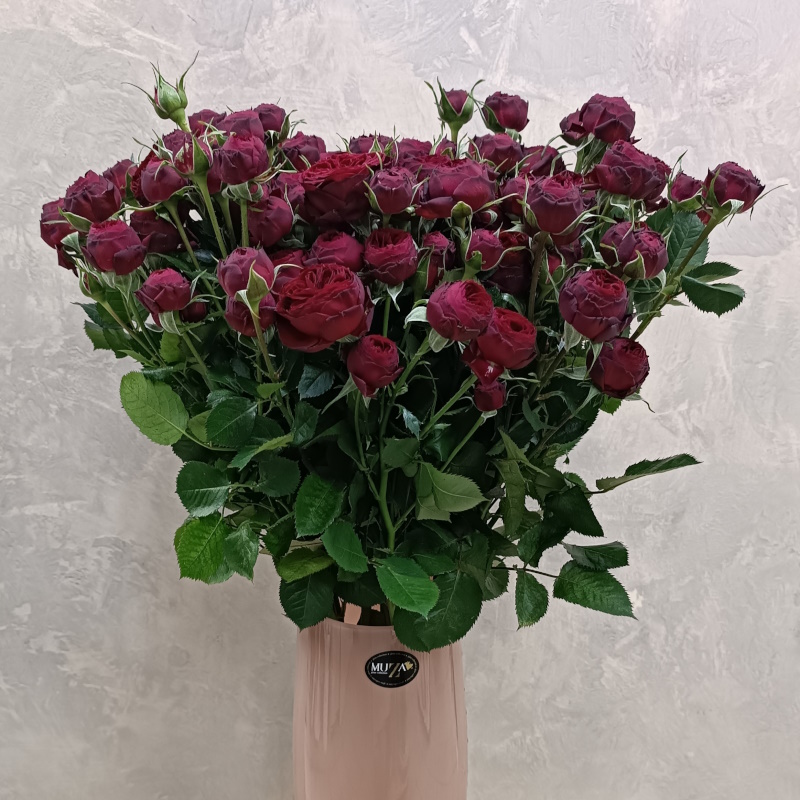 Кустовая роза Ред Пиано 60 см.