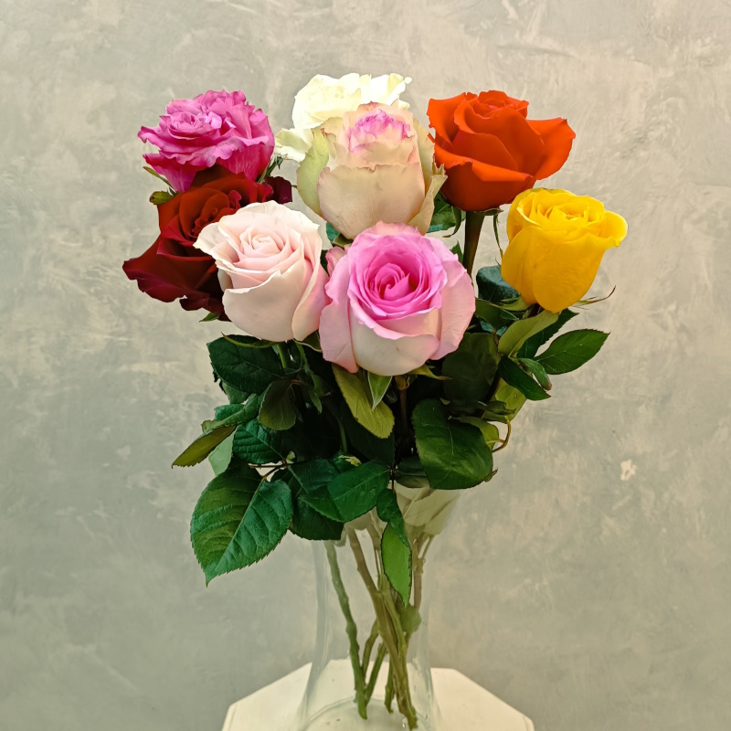 Розы Эквадора 60см