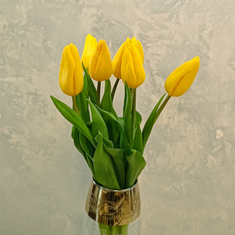 Тюльпаны желтые