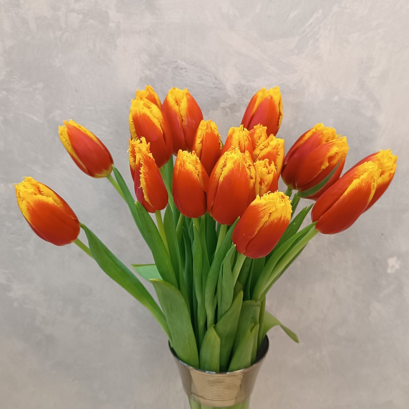 Тюльпаны махровые красно-желтые